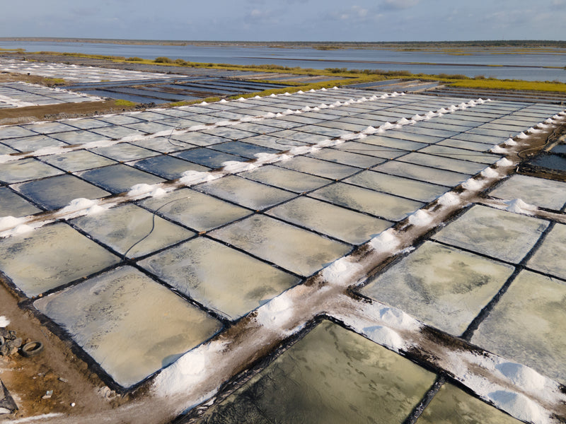 Proceso de evaporación solar VivaSal